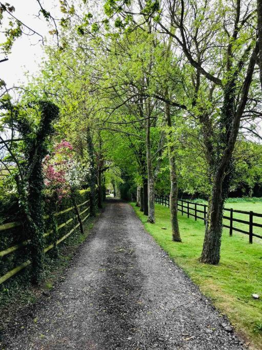 Northdown Lodge - Stunning Property On The Kent Northdowns Hollingbourne Εξωτερικό φωτογραφία
